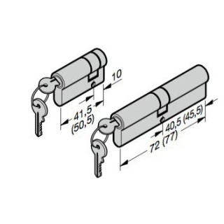 lot de 2 cylindres profilé porte basculante avec portillon hormann